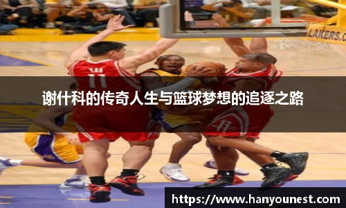 谢什科的传奇人生与篮球梦想的追逐之路